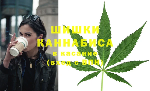 Альфа ПВП Арсеньев