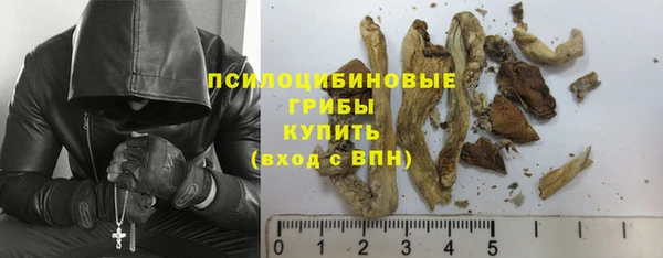 Альфа ПВП Арсеньев
