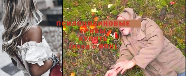 Альфа ПВП Арсеньев