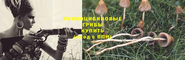 гидропоника Аркадак