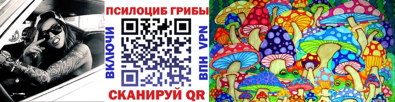 Псилоцибиновые грибы Cubensis  omg как зайти  Знаменск 